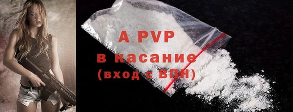 молекула духа Вязьма