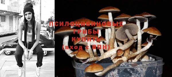 ECSTASY Волосово