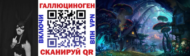 Купить закладки  Кудрово  Псилоцибиновые грибы MAGIC MUSHROOMS 